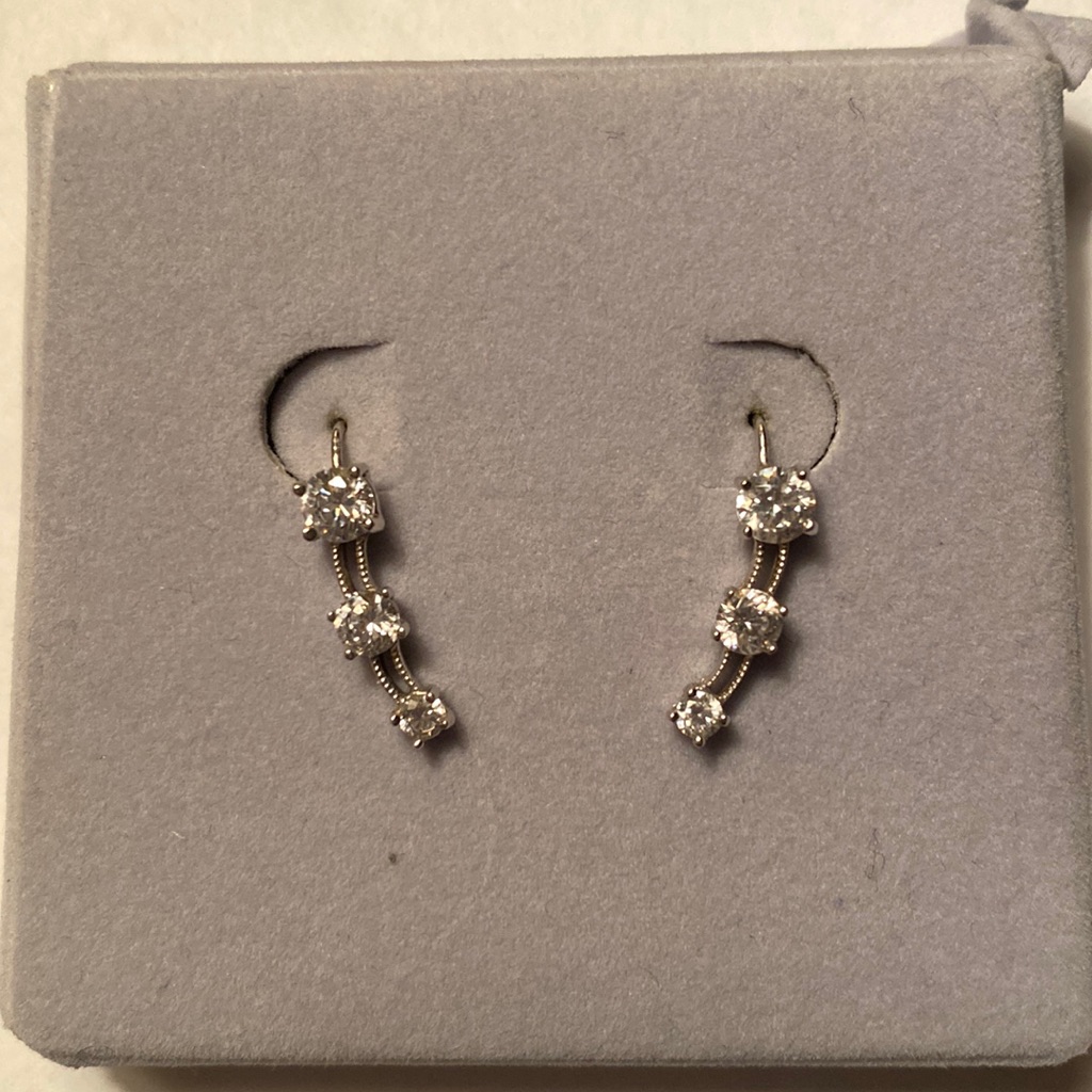 14 Kt White Gold Earrings